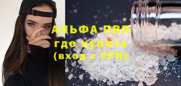 индика Абдулино