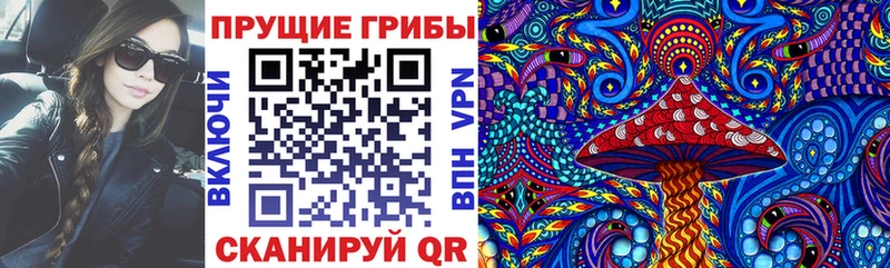 Псилоцибиновые грибы мицелий  Цивильск 